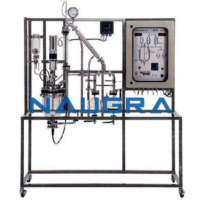 Manual Batch Reaction Pilot Plant With Data Acquisition