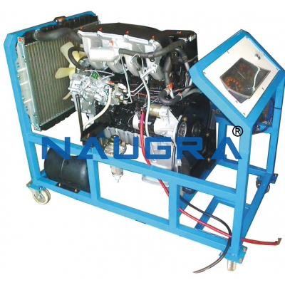 Diesel Engine ( cut model )