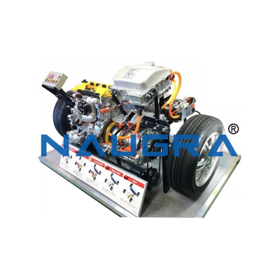 Petrol Engine (Starting condition )